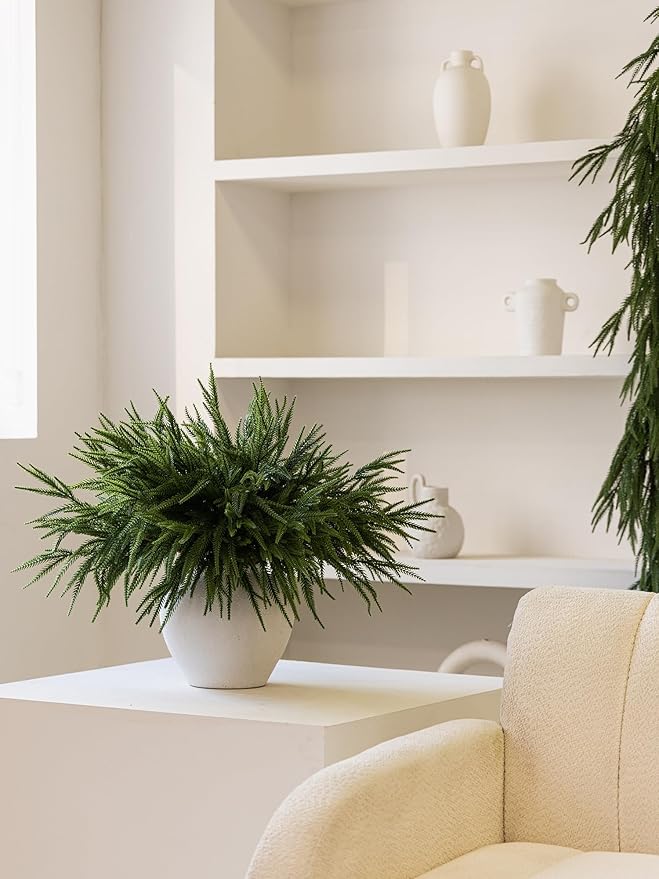 MISSPIN 30 Pcs 21.5 Inches Christmas Norfolk Pine Branches, Norfolk Pine Artificial Christmas Branches DIY Crafts Faux Pine Branches for Xmas Indoor Outdoor Home Decor