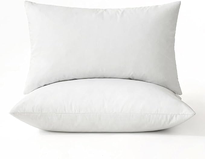 MIULEE Pillows Queen Size Set of 2 Down Feather Throw Pillows by MIULEE