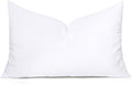 MIULEE 13x21 Inch Throw Pillow Insert by MIULEE