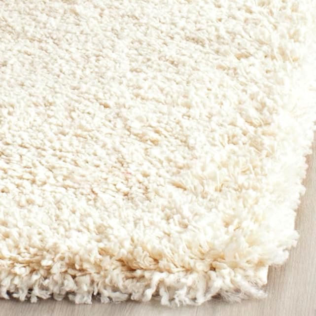 SAFAVIEH Area Rug 4x6 - Image 4
