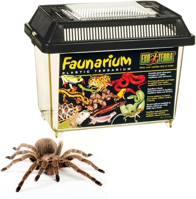 Exo Terra Faunarium, Plastic Reptile Terrarium, Small, PT2255