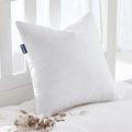 MIULEE Feather Euro Pillow Insert 30x30, Throw Pillow by MIULEE