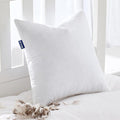 MIULEE Feather Euro Pillow Insert 28x28, Throw Pillow by MIULEE
