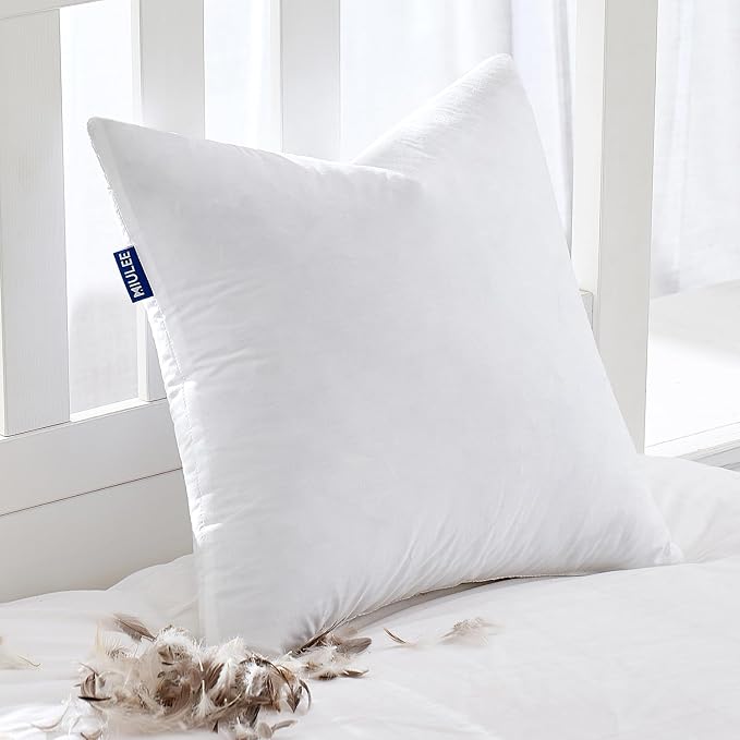 MIULEE Feather Euro Pillow Insert 24x24, Throw Pillow by MIULEE