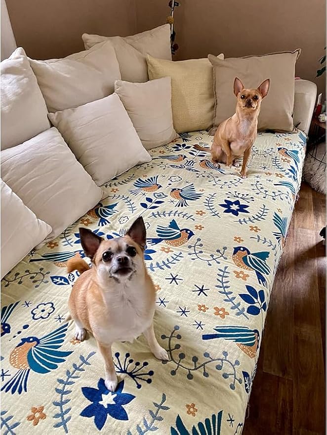 Boho Throw Blanket for Bed Couch 100% Cotton Woven Bed Throws for All Season Lightweight and Soft Cozy Farmhouse Reversible Muslin Decorative Blanket for Travel Picnic, Teal/Cream, 60''x80''