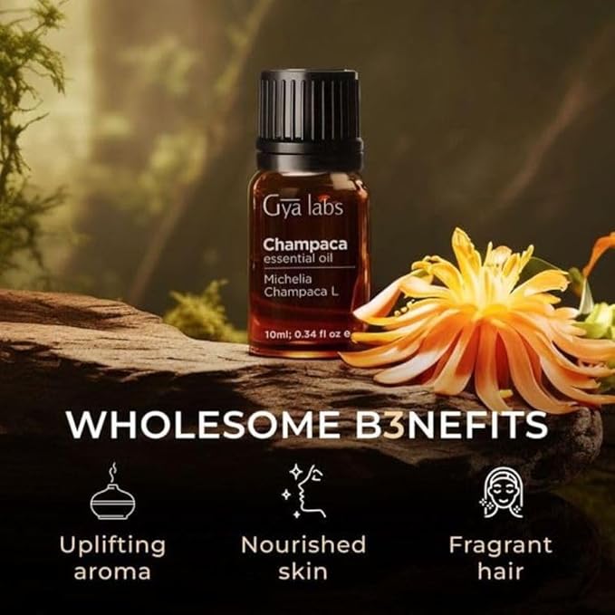Gya Labs Champaca Essential Oil for Diffuser - 0.34 Fl Oz - 100% Pure Natural Champaca Oil for Skin, Hair, DIY Aroma Candle Making Scent