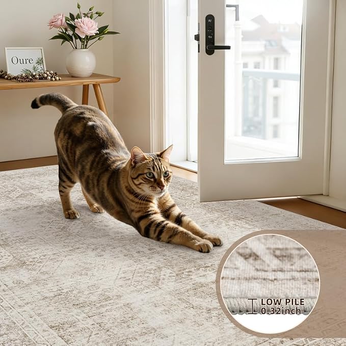 4x6 Area Rugs Living Room: Bedroom Neutral Washable Carpet Brown | Vintage Boho - Image 7