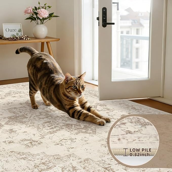 Round Area Rug Living Room: 6ft Washable Carpet Beige/Ivory | Vintage Boho - Image 6