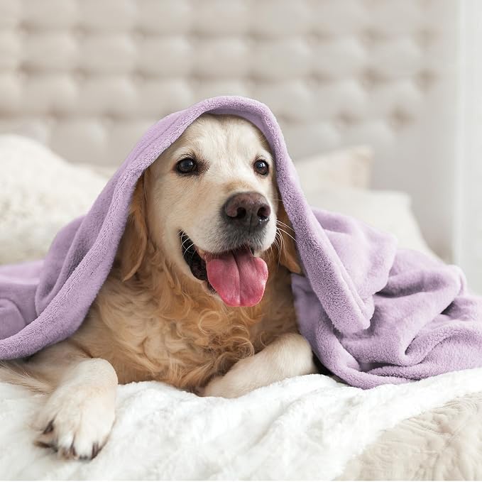BEDELITE Fleece Blanket Soft Plush Twin Size Blanket Lilac 60"x80" | Ultra Soft - Image 7