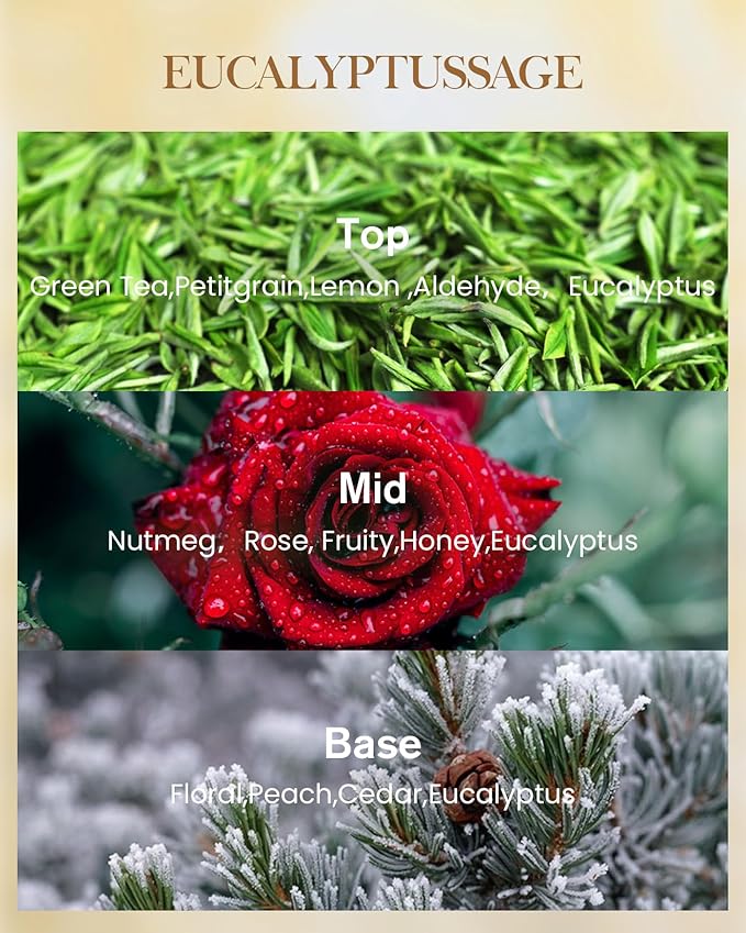 M&SENSE Eucalyptus Sage Scented Candle, 14.1oz 60H Burn Time Slow Burning, Natural Soy Candles Aromatherapy Relaxing Sleep, Home Fragrance Housewarming Gifts