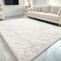 OLANLY 5x6 Area Rugs for Living Room Bedroom, Machine Washable Soft Fluffy by OLANLY