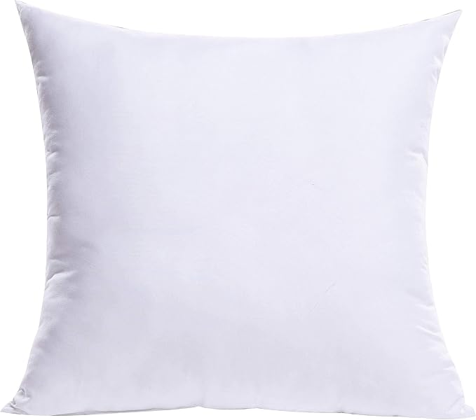 MIULEE 22x22 Inch Throw Pillow Insert by MIULEE