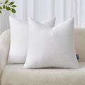 MIULEE 18x18 Inches Pillow Inserts Pack of 2, Decorative Throw Pillow Inserts by MIULEE