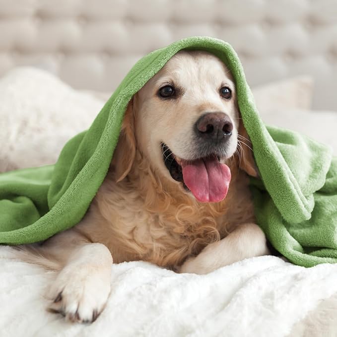 BEDELITE Fleece Blanket Grass Green Throw Blankets - Image 7