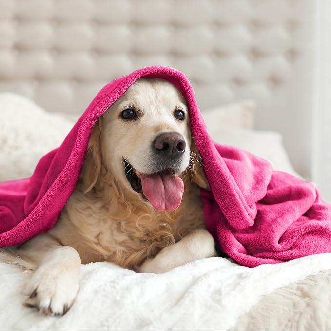 BEDELITE Fleece Blanket Soft Plush Throw - Image 8