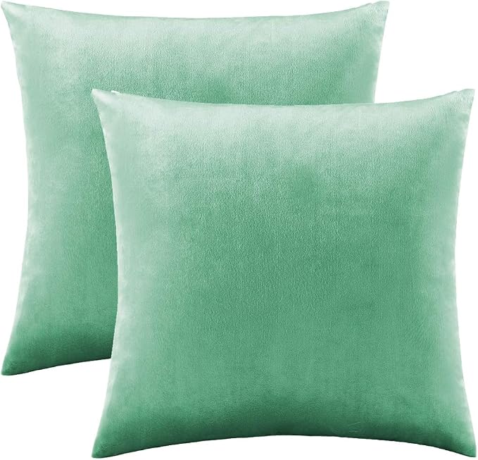 GIGIZAZA Decorative Couch Throw Pillow Covers, Pillow Cases Velvet Pillow Covers - Image 2