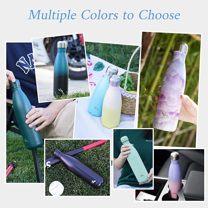 Insulated Water Bottles,25 oz Double Wall Stainless Steel Vacumm Metal Flask for Sports Travel,Ocean Dream