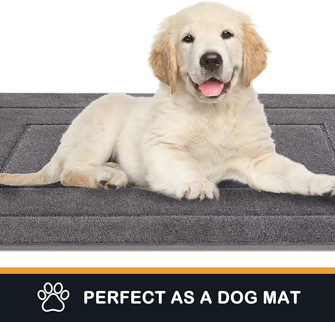 PURRUGS Dirt Trapping Door Mat 24" x 35.5", Non-Slip/Skid Machine Washable Entryway Rug, Dog Doormat, Super Absorbent Welcome Mat for Muddy Wet Shoes and Paws, Grey