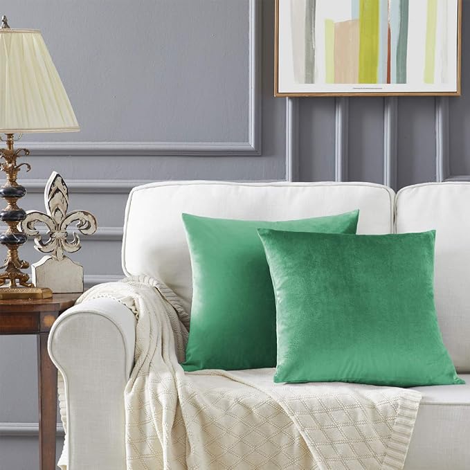 GIGIZAZA Decor Throw Couch Pillow Covers, Velvet Pillow Cases 24 x 24inch - Image 5