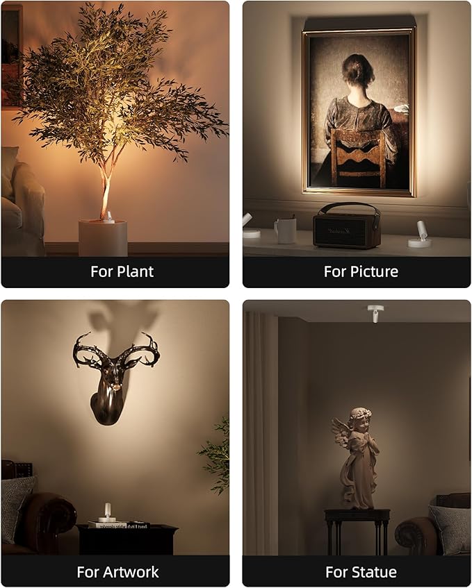EZVALO Spot Lights Indoor,5500mAh Rechargeable Picture Lights with Remote,Wireless Mini Art Accent Spot Lights with Timer＆Dimmable, 3CCT, Uplights Indoor for Plants,Display,Artwork(2Pack-White)