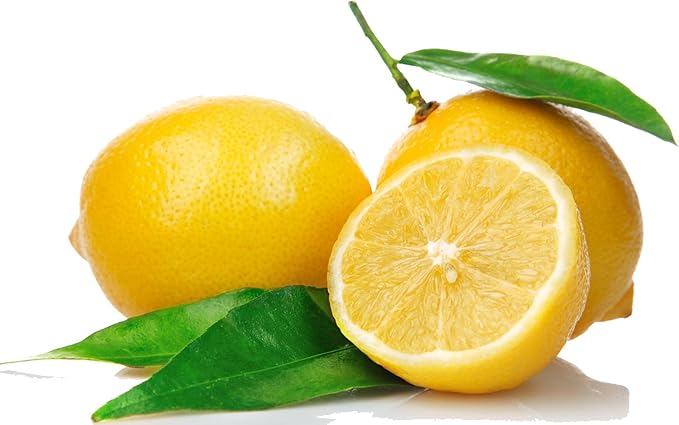 LOVSPA Reed Diffuser Set, Sparkling Citrus Scented Oil Diffuser with Sticks, Home Fragrance Accessories for Bathroom Shelf Decor, Aroma Diffusers for Home or Office Desk, USA Made