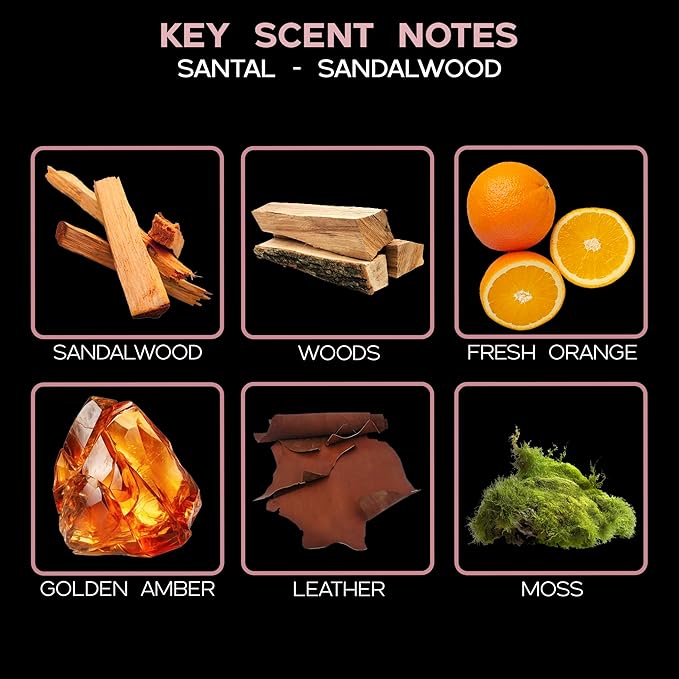 LOVSPA Reed Diffuser Set, Santal (Sandalwood) Scented Oil Diffuser with Sticks, Home Fragrance Accessories for Bathroom Shelf Decor, Aroma Diffusers for Home or Office Fall Decor, USA Made