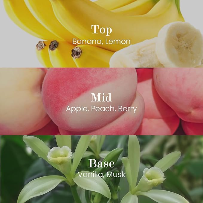 M&SENSE Natural Soy Candle| Foamy Bath | 16.6 oz, 95H Burn | Minimalist Scented Candle for Relaxation, Gifting, Home Décor | for Bedroom, Office, Party Large