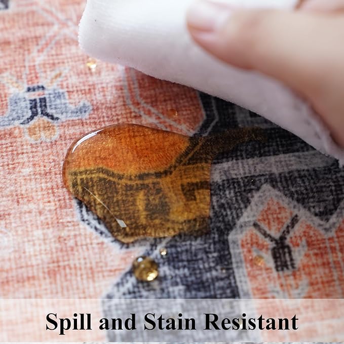 Washable 2x3 Small Area Rug: Vintage Indoor Soft Non Slip Door Mat Stain - Image 7