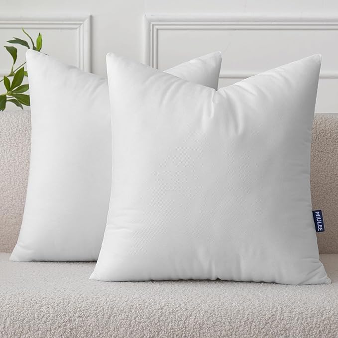 MIULEE Pillow Insert 20x20 Inch Set of 2 Decorative Throw Pillow Inserts | by MIULEE