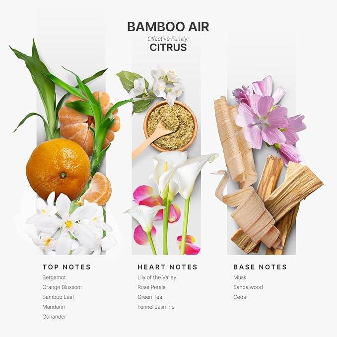 Aromaplan Hotel Scents Bamboo Air 16 Fl Oz (473ml), Home Luxury Aroma & Hotel Diffuser Oil- Hotel Diffuser Oil for Aromatherapy- USA Made, Bigger Bottle, Bolder Aroma & Longer Lasting