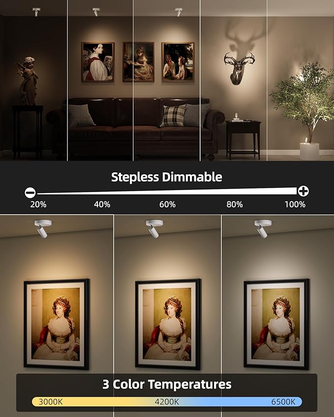 EZVALO Spot Lights Indoor,5500mAh Rechargeable Plants Spotlights with Remote,Wireless Mini Art Accent Spot Lights with Timer＆Dimmable, 3CCT, Uplights Indoor for Plants,Display,Artwork(4Pack-White)