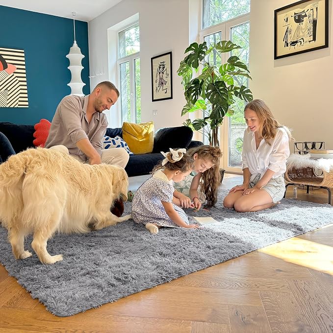 OLANLY 5x6 Area Rugs for Living Room Bedroom, Machine Washable Soft Fluffy - Image 6