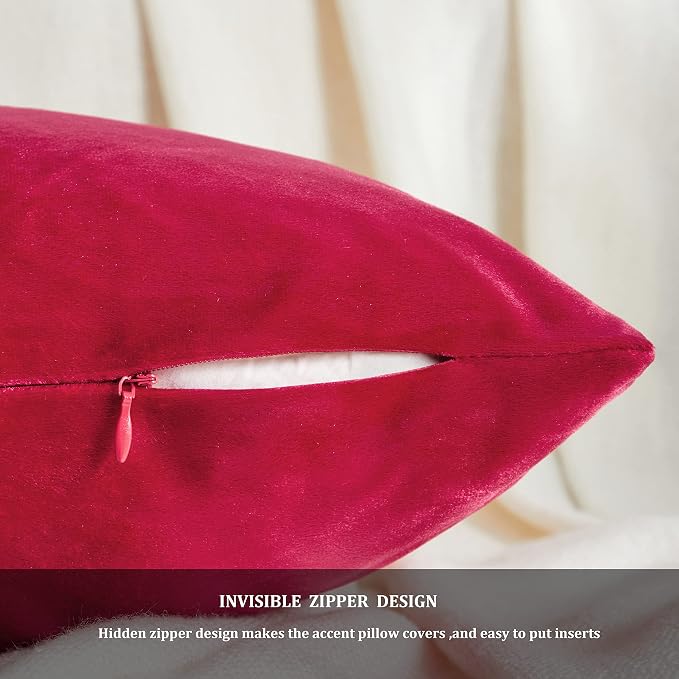 GIGIZAZA Decorative Couch Throw Pillow Covers, Pillow Cases Velvet Pillow Covers - Image 5