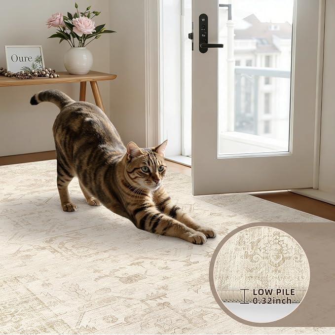 3x5 Area Rugs Living Room: Bedroom Washable Carpet Beige/Brown | Large Vintage - Image 7