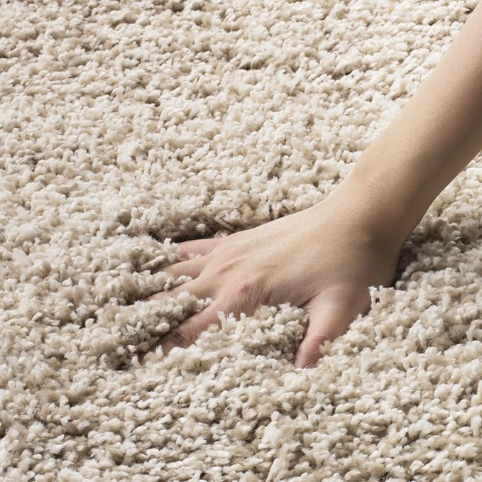 SAFAVIEH Area Rug 11x15 - Image 10