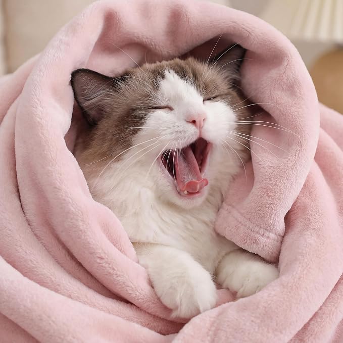 Bedsure GentleSoft Pink Fleece Blankets King Size - Image 3