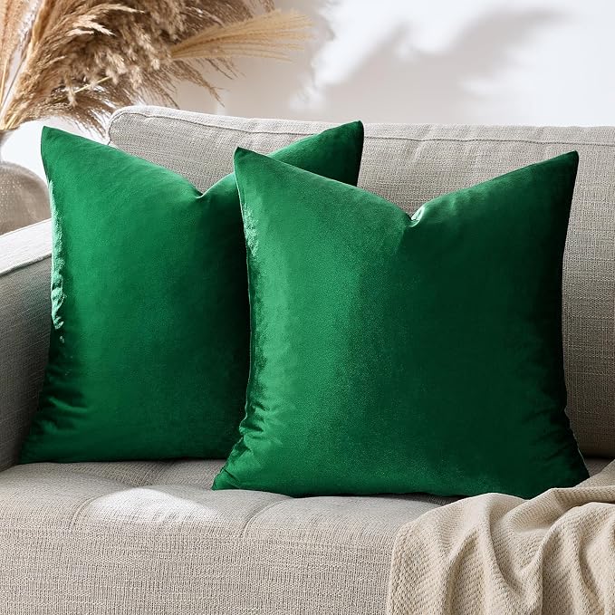 GIGIZAZA Decorative Couch Throw Pillow Covers, Pillow Cases Velvet Pillow Covers - Image 4
