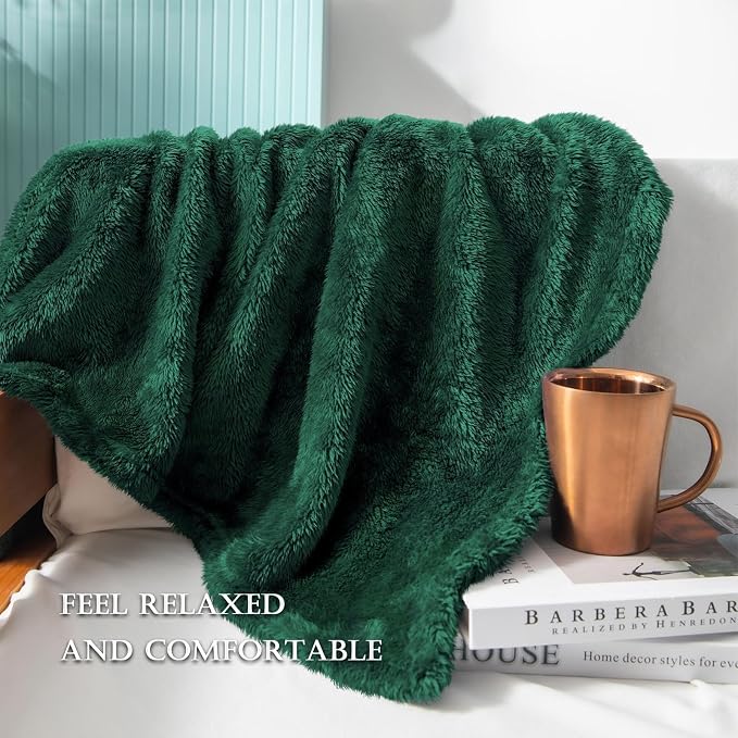 Exclusivo Mezcla Plush Fuzzy Fleece Bed Blanket Queen Size, Super Soft - Image 5