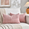 Fancy Homi 2 Packs Blush Pink Lumbar Decorative Throw Pillow Covers 12x20 Inch by Fancy+Homi