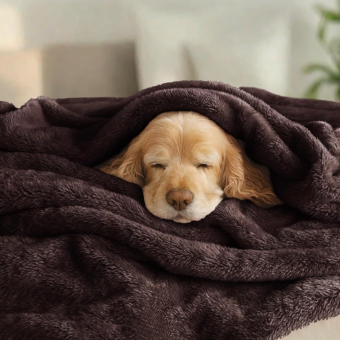 Exclusivo Mezcla Plush Fuzzy Fleece Bed Blanket Twin Size, Super Soft, Fluffy - Image 3