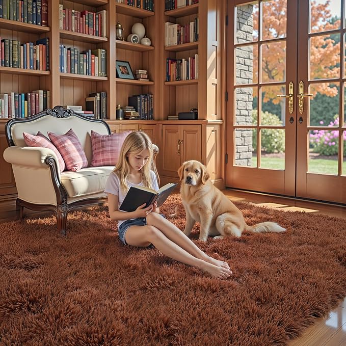 Rugs for Bedroom 4x6, Alfombras para Salas Shag Large Plush Soft Area Rug - Image 3