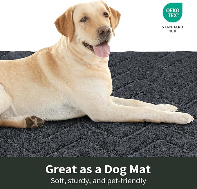 Stiio Dirt Trapper Door Mat 32x47 Inches, Front Doormat Indoor Outdoor Entrance Low Pile, All-Season, All-Weather Absorbent Entry Rug, Washable Non Slip Rug for Entryway, Dark Grey