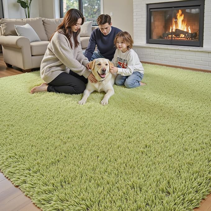 Rugs for Living Room 6x9, Alfombras para Salas Shag Large Plush Soft Area Rug - Image 3