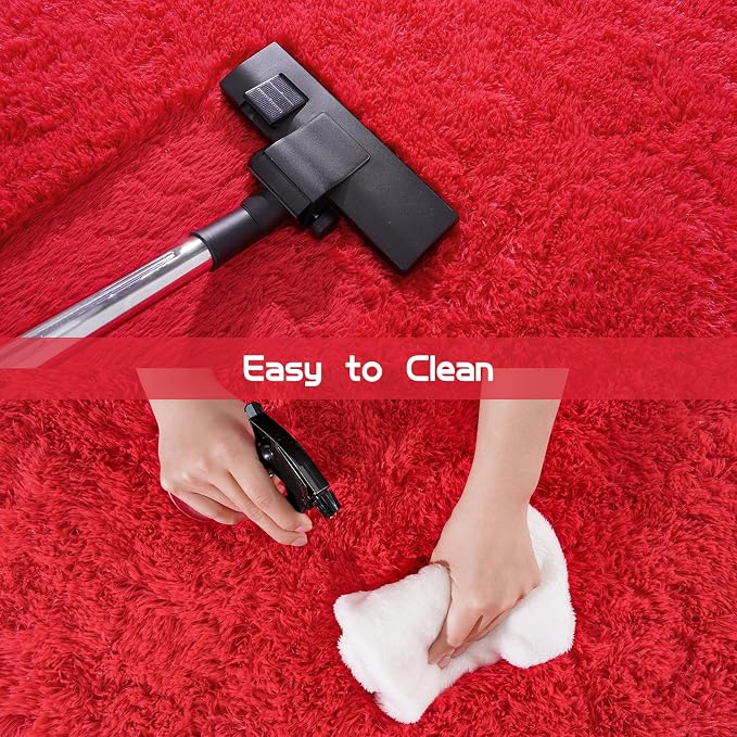Pionblank Fluffy Area Rug for Bedroom 4x6 Feet, Indoor Plush Carpet, Cute Comfy - Image 5