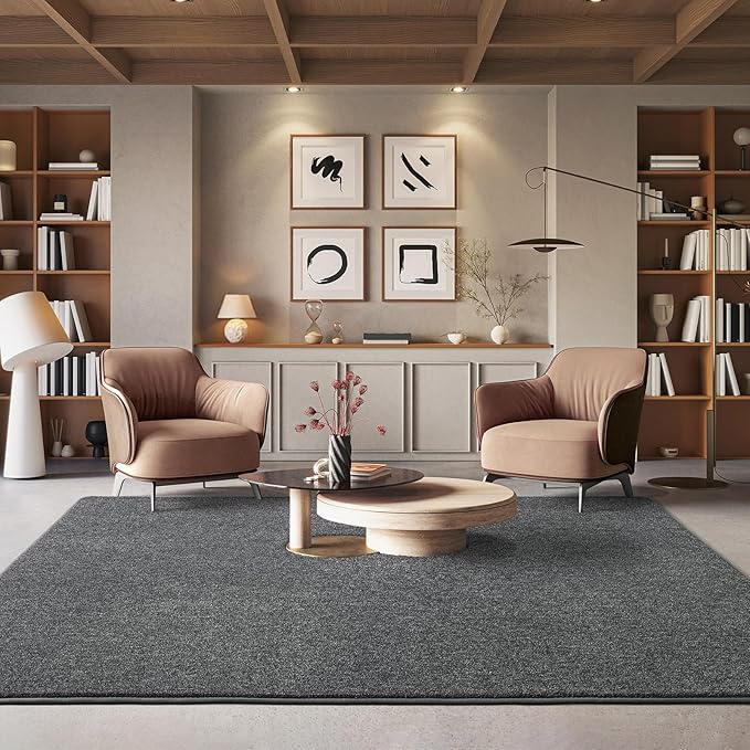 AROGAN Washable 4×6 Living Room Rug, Modern Area Rugs - Image 5