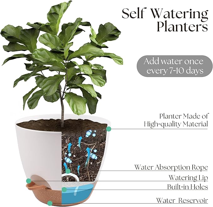 Giraffe Creation Plant Pots Set of 5 (10/9/8/7.5/7 inch), Self-Watering Indoor & Outdoor Flower Planters with Drainage Hole and Reservoir, White