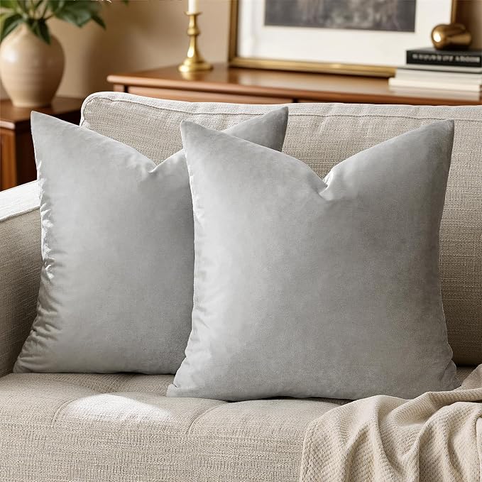 GIGIZAZA Silver Grey Velvet Pillow Covers 18x18 Pack of 2 Square Throw Pillow by GIGIZAZAFocusingonhomedecoration