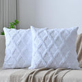 Set of 2 Soft Moroccan Throw Pillow Covers 20x20 Inch Plush Boho Decorative by Cozoomy