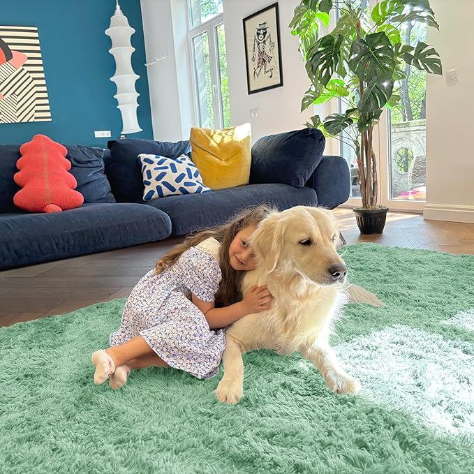 OLANLY 5x7 Machine Washable Large Area Rugs - Image 5