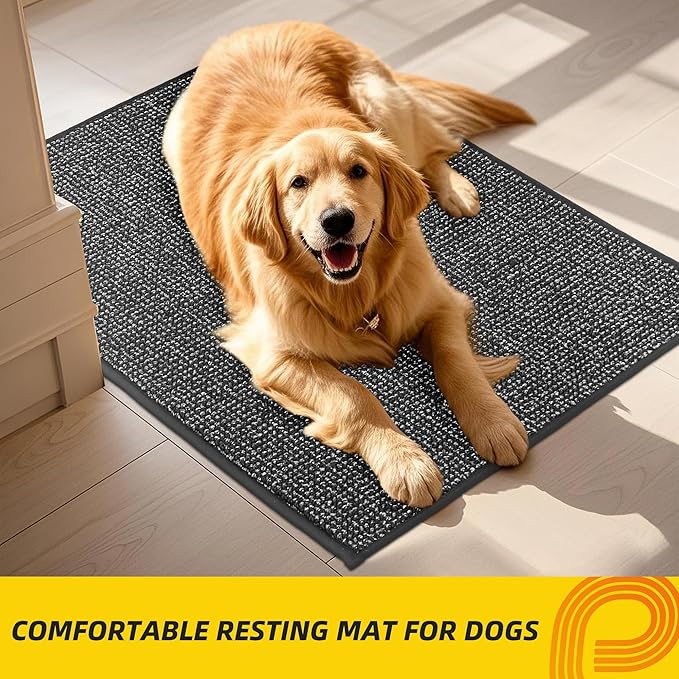 JSEI Dirt Trapper Door Mat 32"x48" Non-Slip Washable Entrance Mat, Dog Doormats, Absorbent & Fade-Resistant Floor Mats, Low Profile Welcome Mats for Entryway, Front Door, and Inside Entrance,Dark Grey